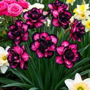 Нарцисс Золотая Корона купить по цене от 2000р. в интернет-магазине «Посадика» с доставкой почтой в в Шалие и по всей России – [изображение №1].