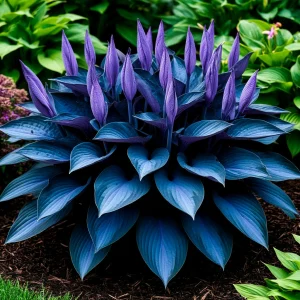 Хоста Сикрет Гров купить по цене от 570р. в интернет-магазине «Посадика» с доставкой почтой в в Шалие и по всей России – [изображение №1].